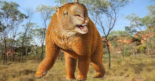 DIPROTODON